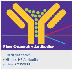 Flow Cytometry Antibodies